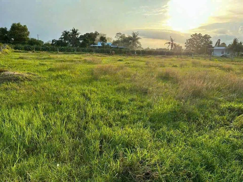 Đất nền thôn Ninh Thuận, Hàm Chính 6480m² chỉ 567 triệu - Cơ hội đầu tư tuyệt vời!