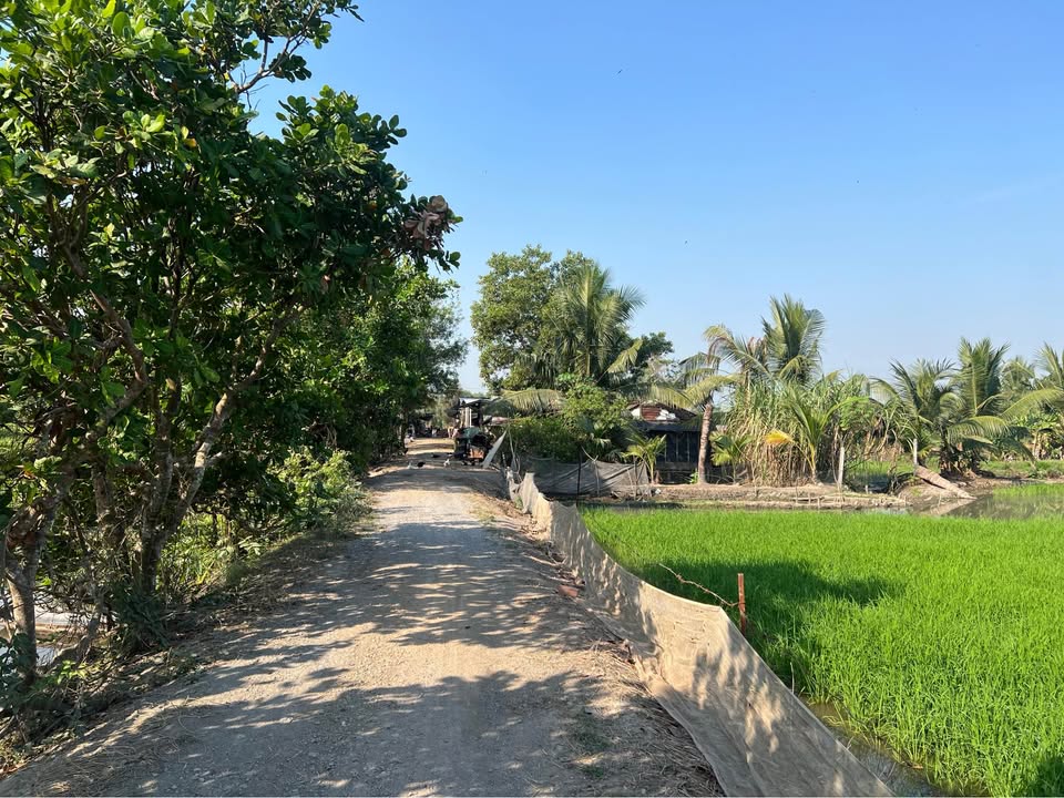 Đất vườn 5400m² tại Phú Hòa Đông - Giá chỉ 7.02 tỷ, đầu tư sinh lời!