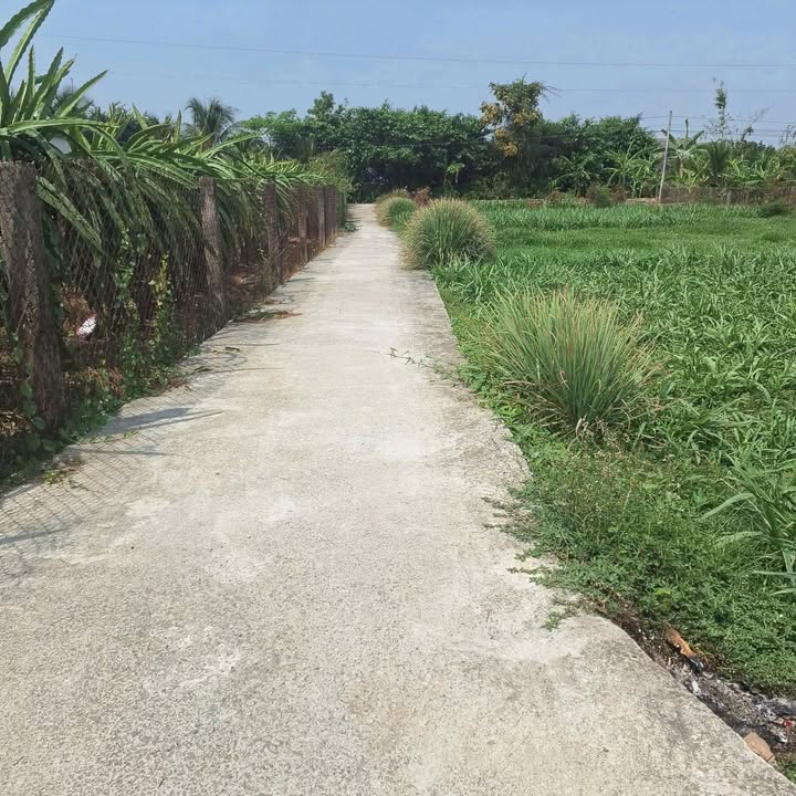 Đất nền An Lục Long, Châu Thành, Long An 125m² giá 300 triệu - Cơ hội đầu tư hấp dẫn!