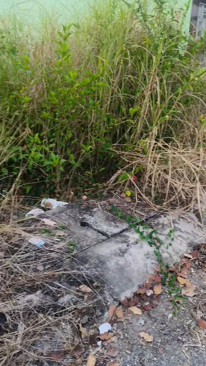 Đất nền xã Kiến Bình, Tân Thạnh, 224m² - Giá thỏa thuận, cơ hội đầu tư hấp dẫn!