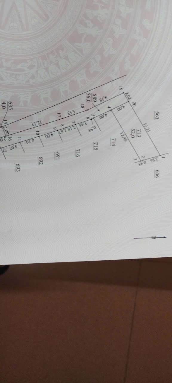 Đất ở Xã Trung Châu, Huyện Đan Phượng 52m² giá chỉ 4x triệu - Cơ hội đầu tư tốt!