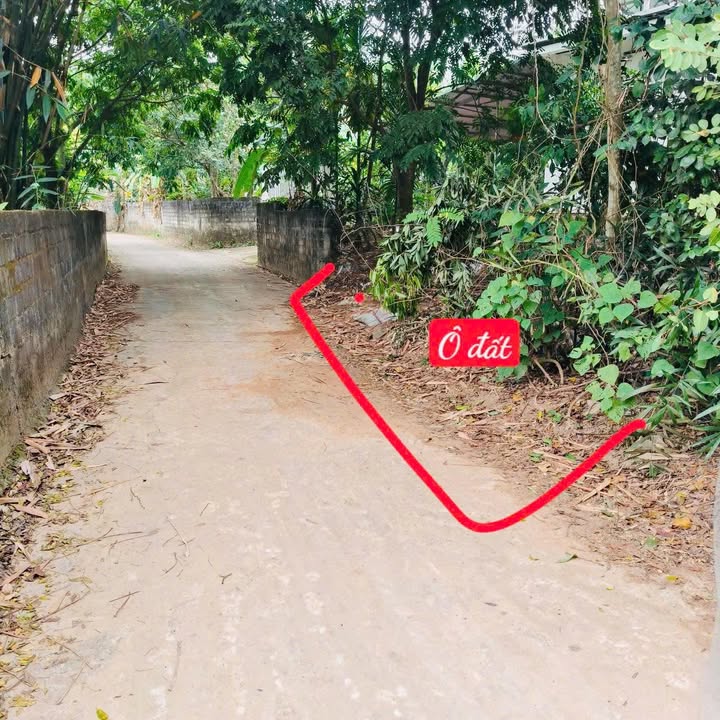 Đất thổ cư 129m² tại Thị trấn Kim Long, Huyện Tam Dương - Giá đầu tư chỉ 700 triệu!