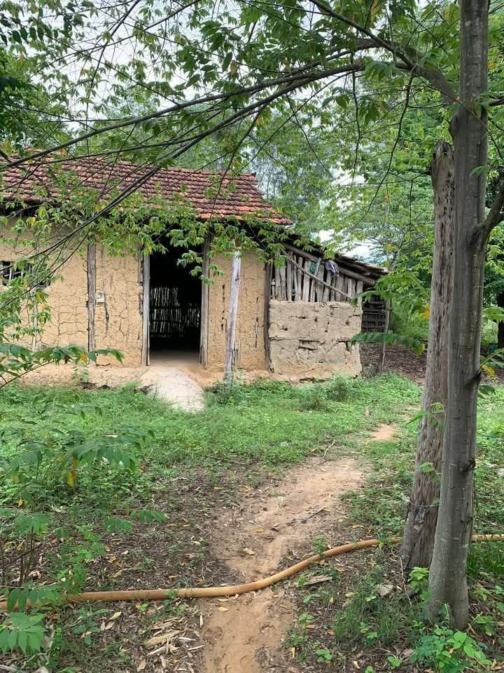 Đất nền Phường Ninh Giang 1587m² giá 1.587 tỷ - Đầu tư sinh lời tiềm năng!