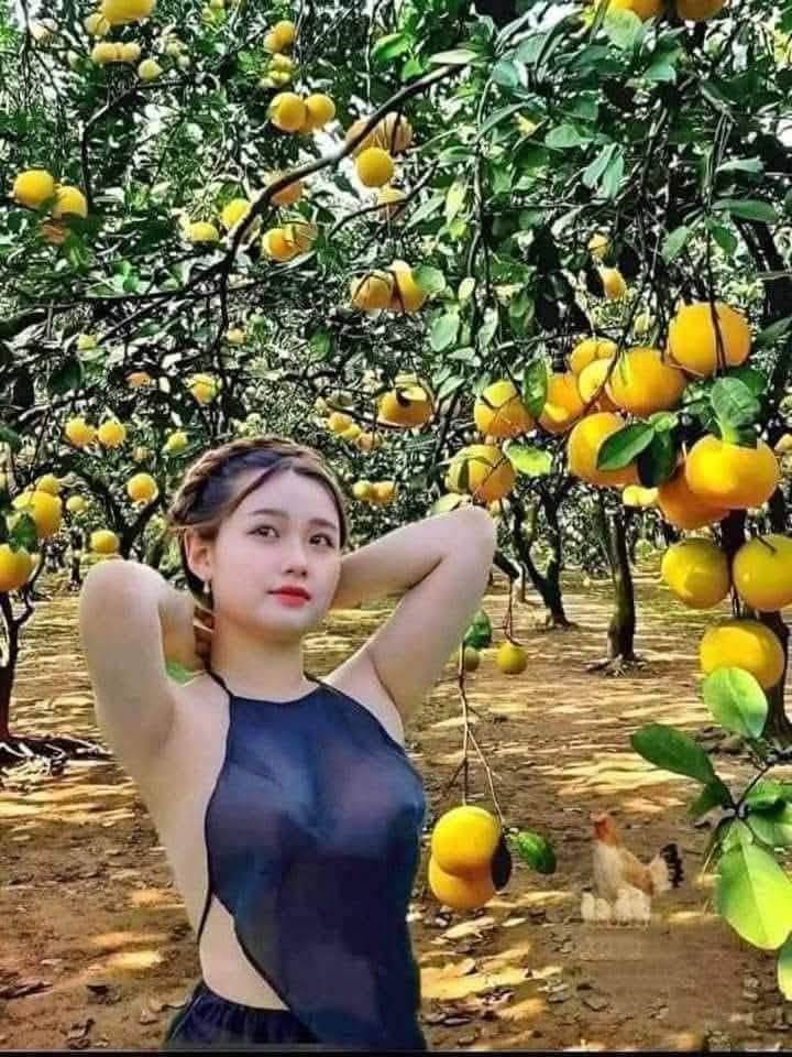 Đất thổ cư Khu dân cư Lê Phong Bình 69m² giá 2.7 tỷ - Đường nhựa thông thoáng!