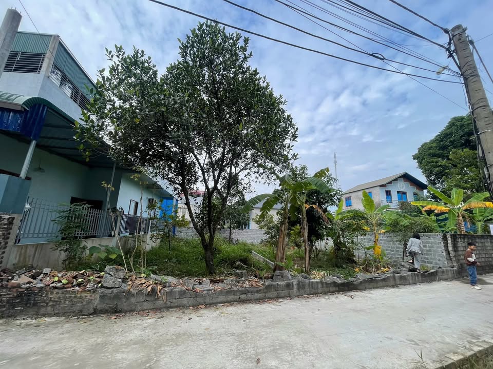 Đất nền đường Bế Văn Đàn, 99,3m² giá 1.99 tỷ - Cơ hội đầu tư tuyệt vời!