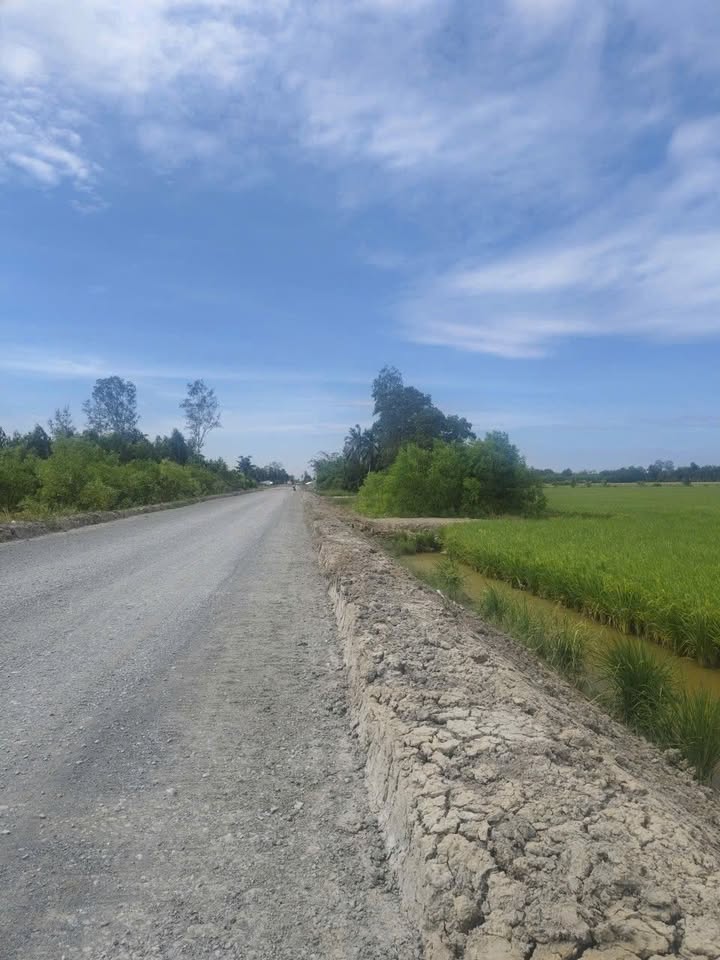 Đất Farm 35.000m² tại Xã Lâm Tân - Giá Thỏa Thuận - Tiềm năng đầu tư lớn!