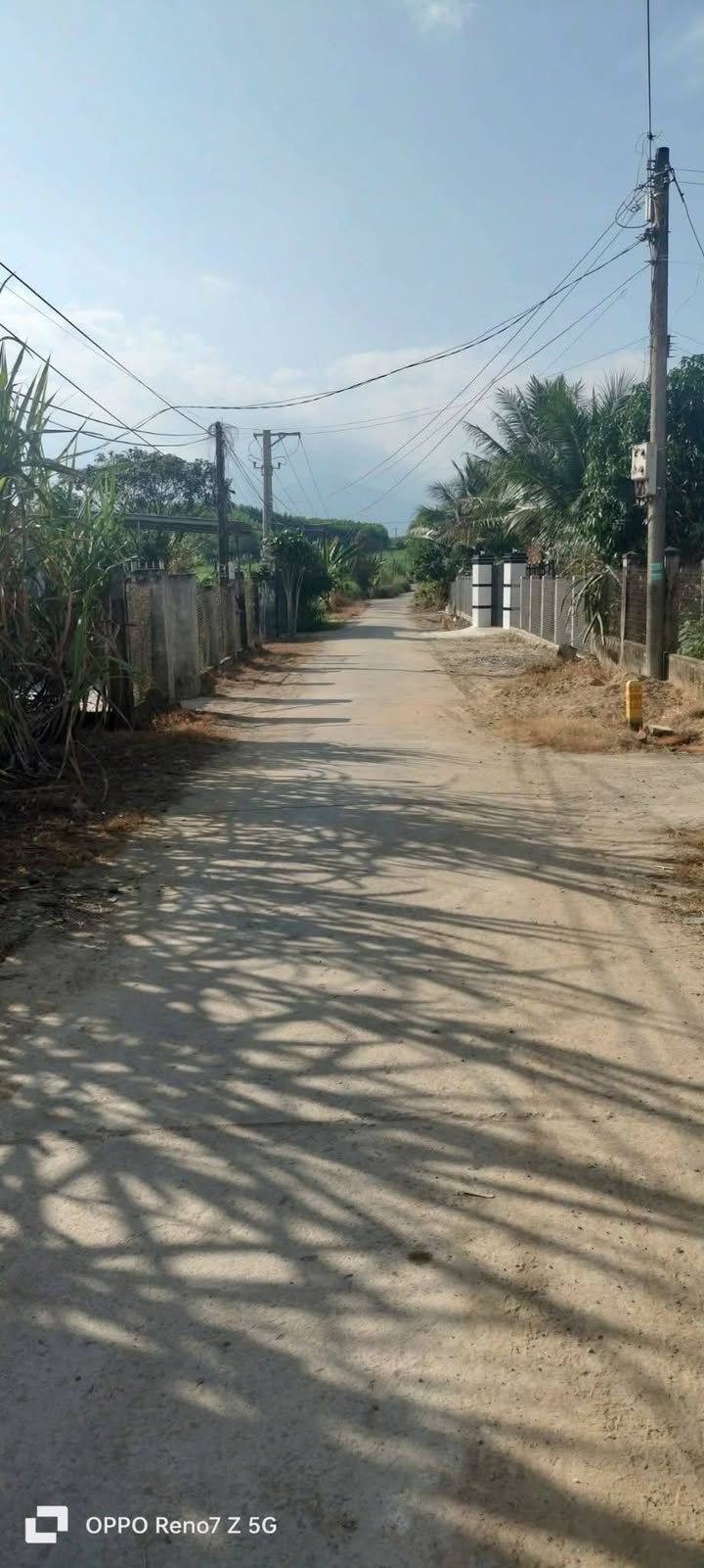 Nhà vườn Diên Đồng, Diên Khánh 2400m² giá 1.25 tỷ - Cơ hội đầu tư hấp dẫn!