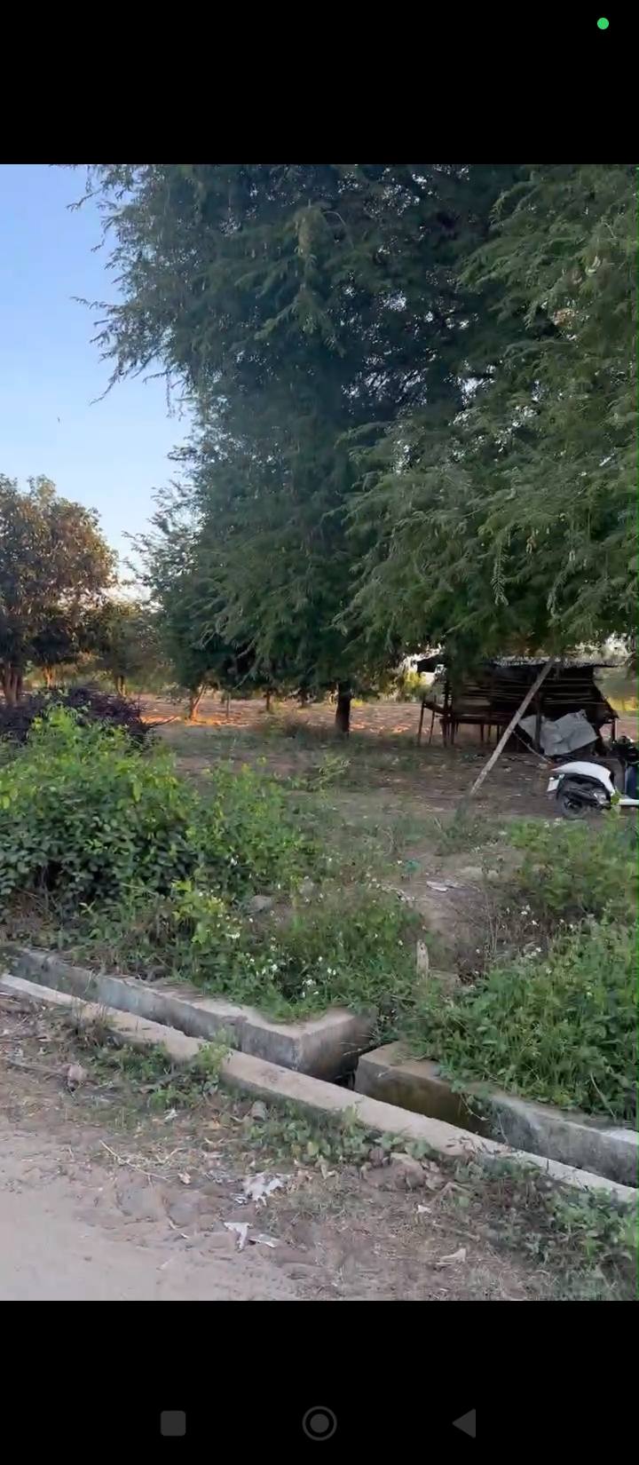 Lô đất mặt tiền đường Petong, xã Ninh Phước, 8500m² giá 1.2 tỷ - Sổ đỏ chính chủ!