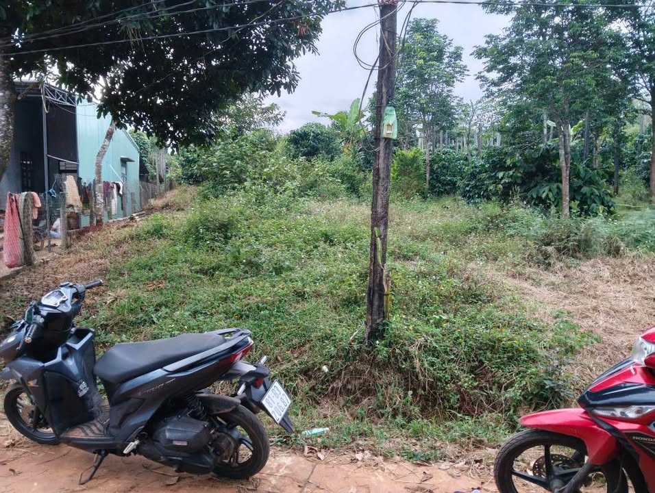 Đất nền Nguyễn Bỉnh, Bình Thạnh 850m² giá chỉ 5xx triệu - Cơ hội đầu tư sinh lời!