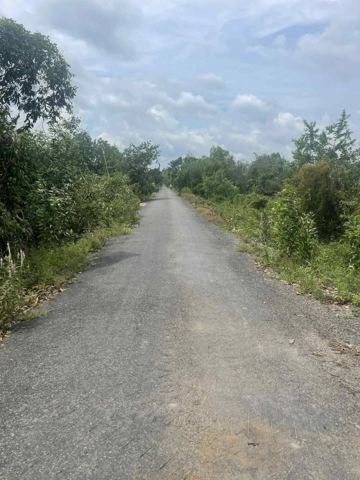 Đất trống 15 công mặt tiền 46m tại Tân Hòa Tây - Giá chỉ 4.2 tỷ