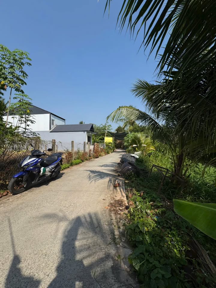 Đất nền 5x19m tại ấp Quý Phước, Cai Lậy - Giá chỉ 420 triệu/nền!