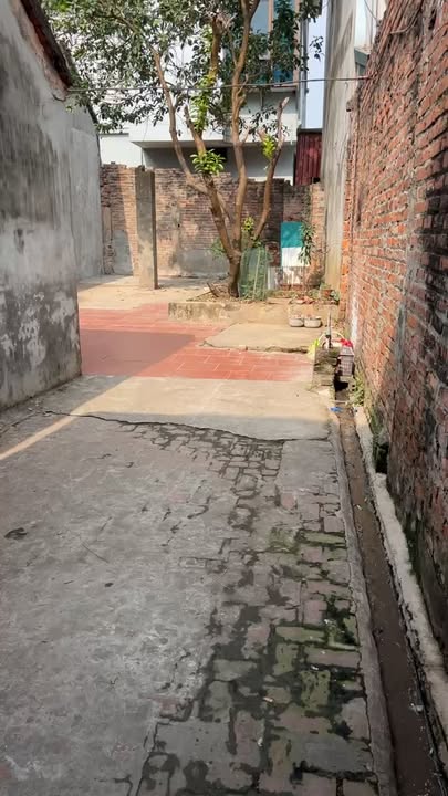 Đất nền thôn Tam Nông - Thạch Hoà 76m² giá chỉ 1 tỷ - Sổ đỏ chính chủ!