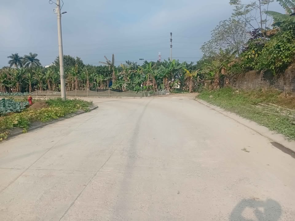 Bán đất phân lô Ninh Nhất, Hoa Lư 120m² chỉ 2 tỷ - Cơ hội đầu tư tuyệt vời!