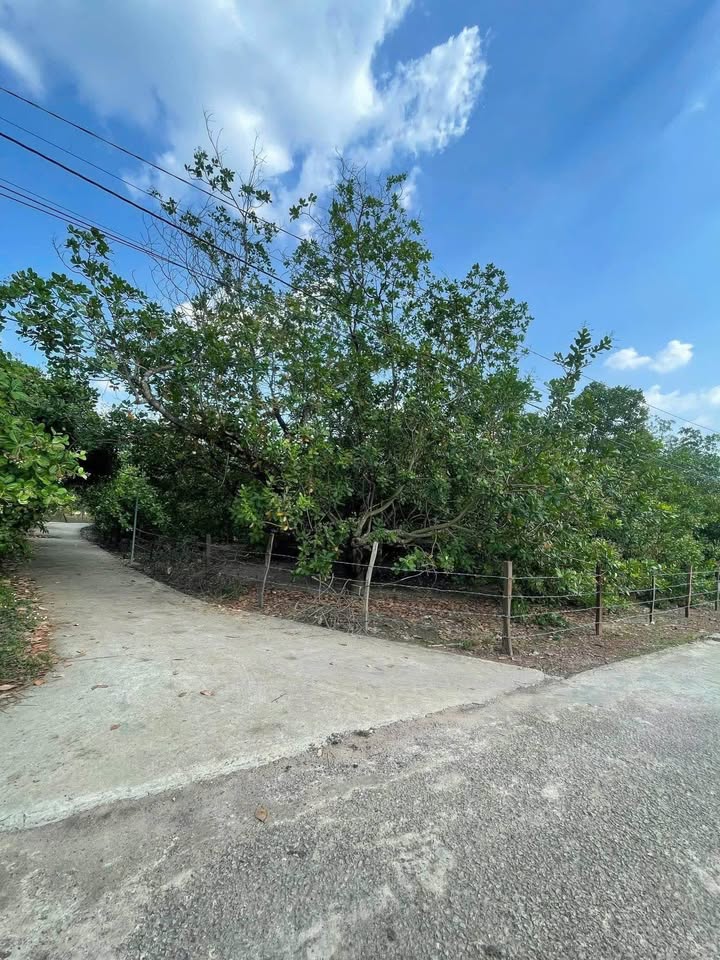 Đất nền góc 2 mặt tiền Tân Quan 3320m² - Đầu tư sinh lời ngay!