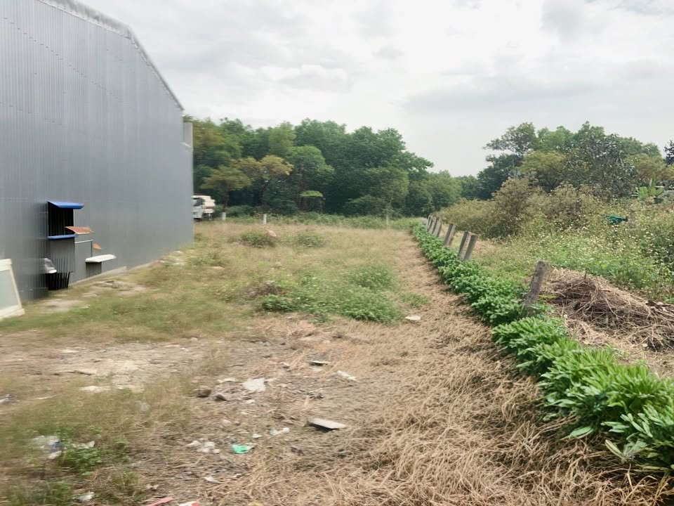 FrontHouse Đàm Thanh 7, Đà Nẵng 95,8m² giá 3,7 tỷ - Đầu tư sinh lời hấp dẫn!