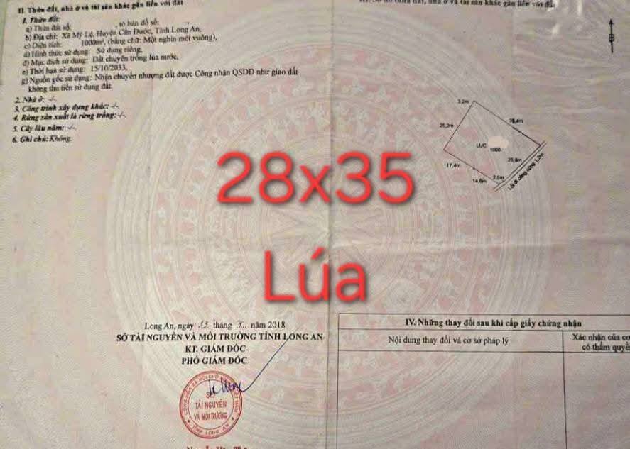 Đất nền 1000m² tại Mỹ Lệ, Cần Đước - Giá chỉ 1.8 tỷ, sẵn sàng đầu tư!