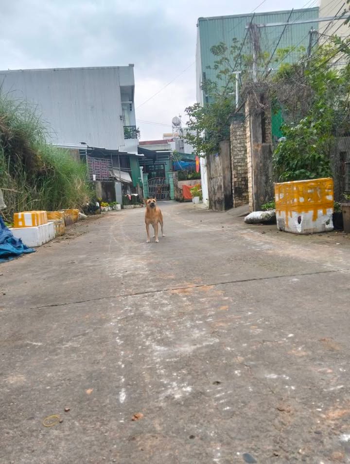 Đất nền Hẻm 05 Lê Lợi, TP. Nam Định 100m² giá 1,3 tỷ - Cơ hội đầu tư hấp dẫn!