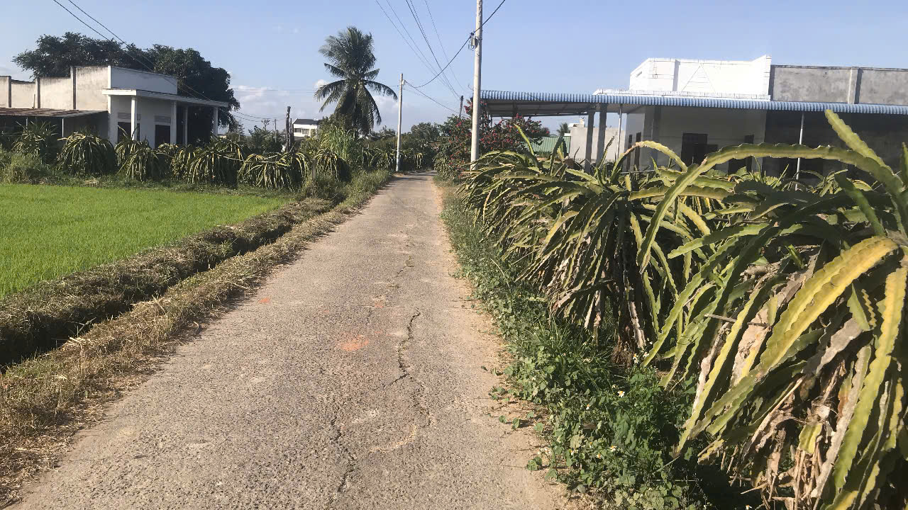 Đất thổ cư thôn Hội Nhơn, xã Hàm Liêm 117m² giá 4 tỷ - Đường ô tô vào tận nơi!