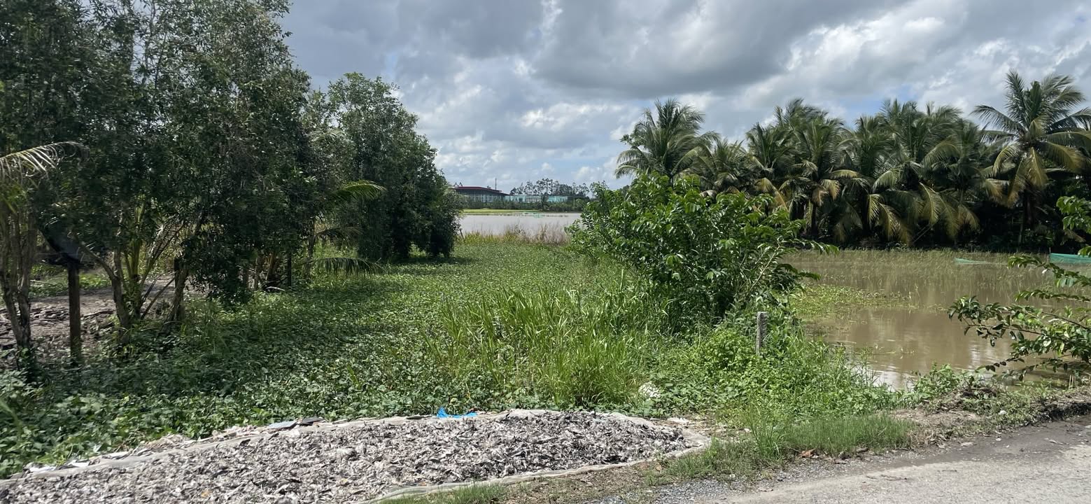 Đất thổ cư 389m² tại Phường III, Thành phố Vị Thanh, giá chỉ 1.3 tỷ - Chính chủ bán gấp!