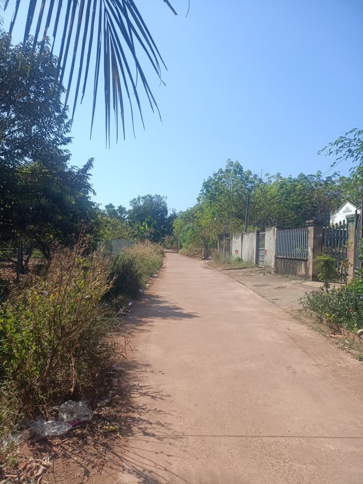 Đất nền mặt tiền Trường Chinh, Đồng Xoài, 105m² - Cơ hội đầu tư hấp dẫn!