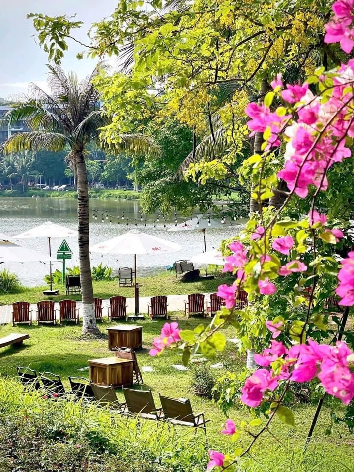 Căn hộ Havenpark Hưng Yên 31m² giá 2.6 tỷ - Full nội thất, view đẹp