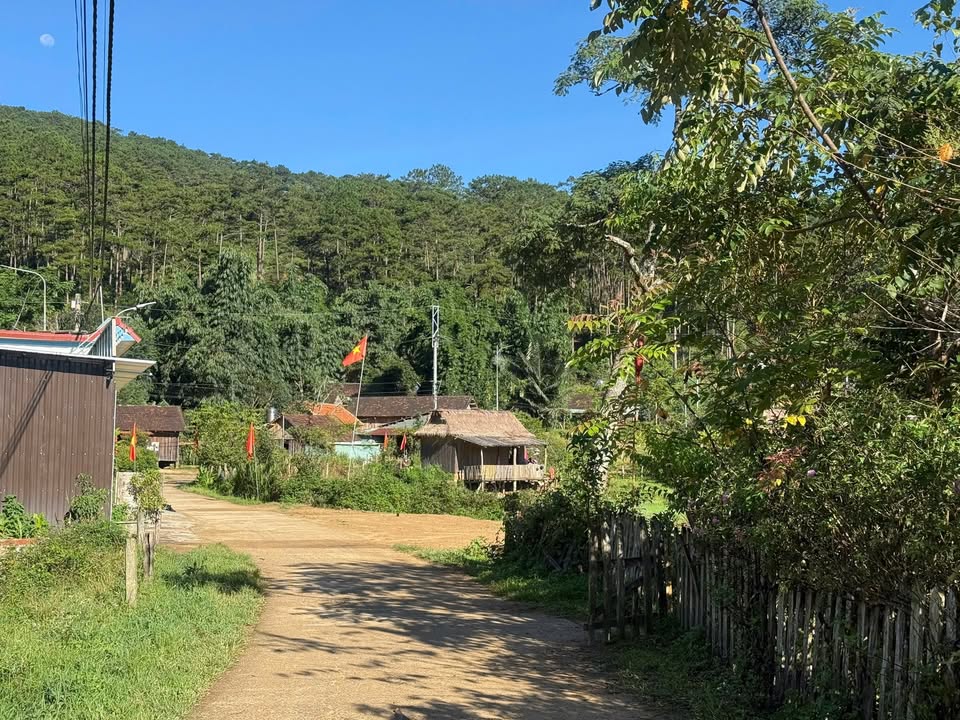 Đất nền Măng Đen 335m² giá 3 tỷ - Đón đầu sóng du lịch!