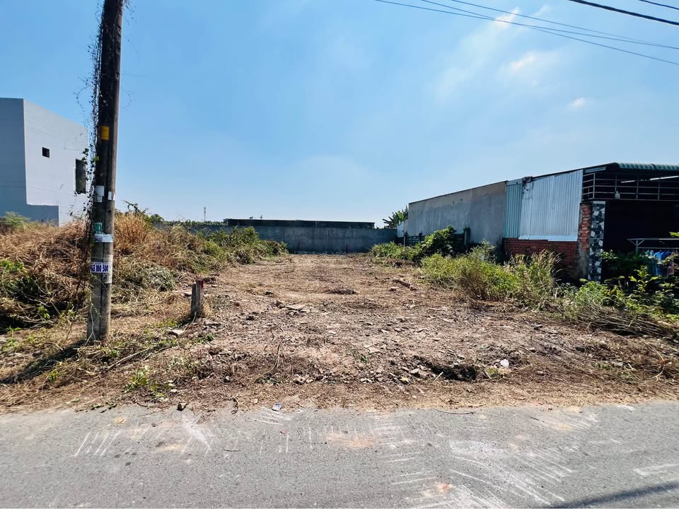 Đất mặt tiền 125m² Tân Thông Hội, Củ Chi chỉ 2.55 tỷ - Cơ hội đầu tư hấp dẫn!