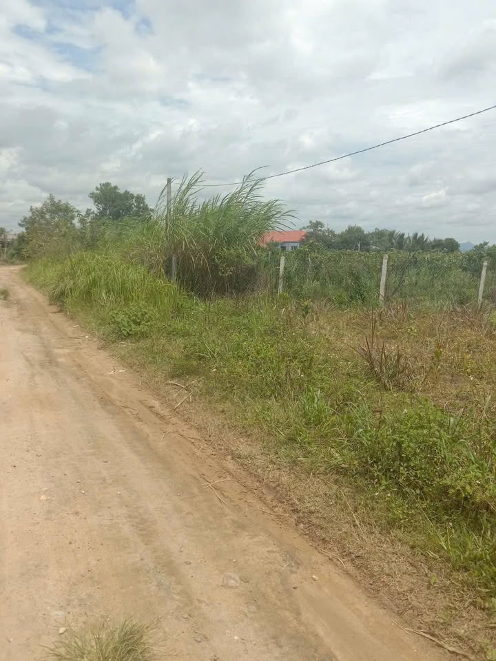 Đất nền chính chủ tại Ea Sô, Huyện Ea Kar, 480m² chỉ 380 triệu - Cơ hội đầu tư tốt!