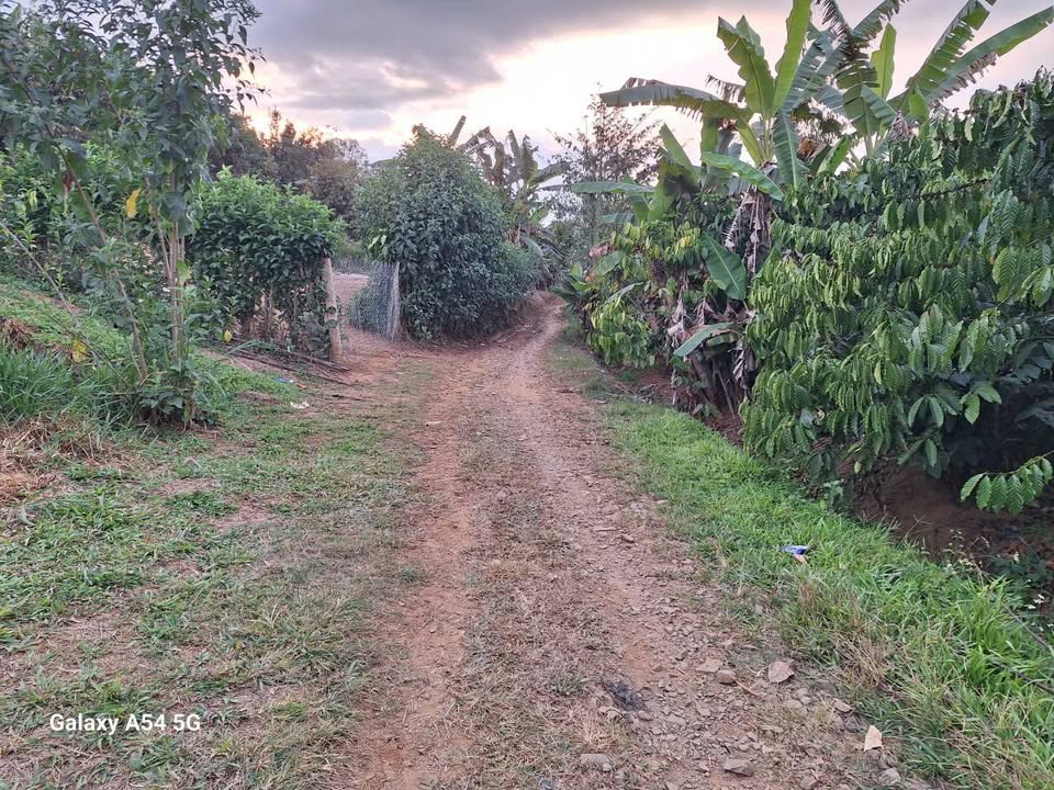 Đất nền Hòa Bắc, Di Linh 1044m² giá chỉ 1.2 tỷ - Cơ hội đầu tư tuyệt vời!