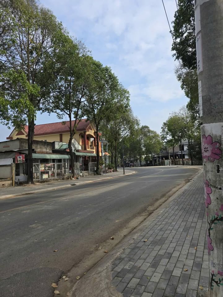 Đất nền khu vực trung tâm Chánh Nghĩa, Thủ Dầu Một 200m² - Mặt tiền đẹp, đầu tư sinh lời!