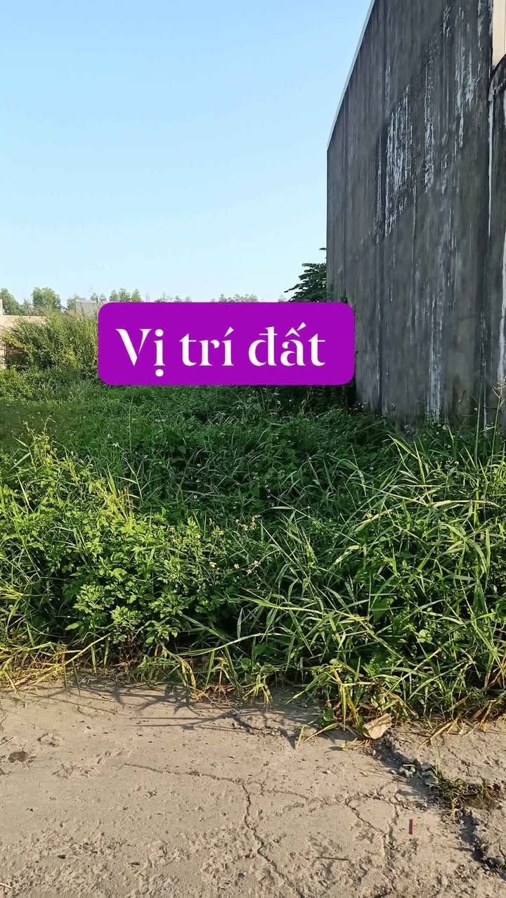 Đất nền chính chủ tại Khu phố 9, Biên Hòa 80m² chỉ 600 triệu - Cơ hội vàng đầu tư!