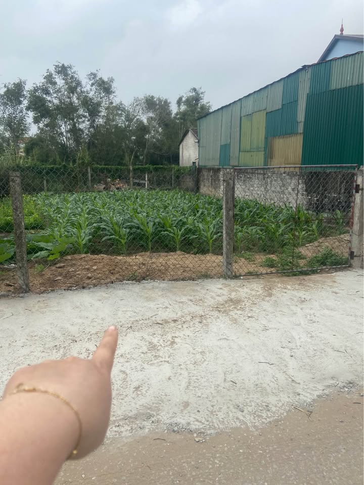 Đất nền Cửa Lò 100m² giá 2 tỷ - Đường 72M thông thoáng