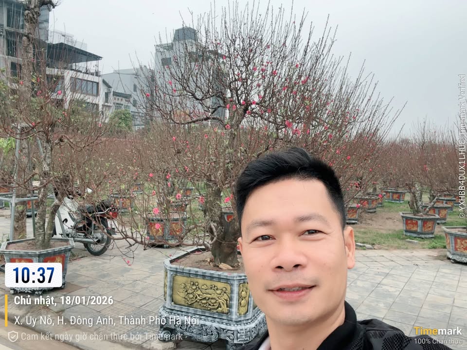 Đất KĐT Vườn Đào Đông Anh 105m² giá 20 tỷ - Chính chủ, pháp lý rõ ràng!