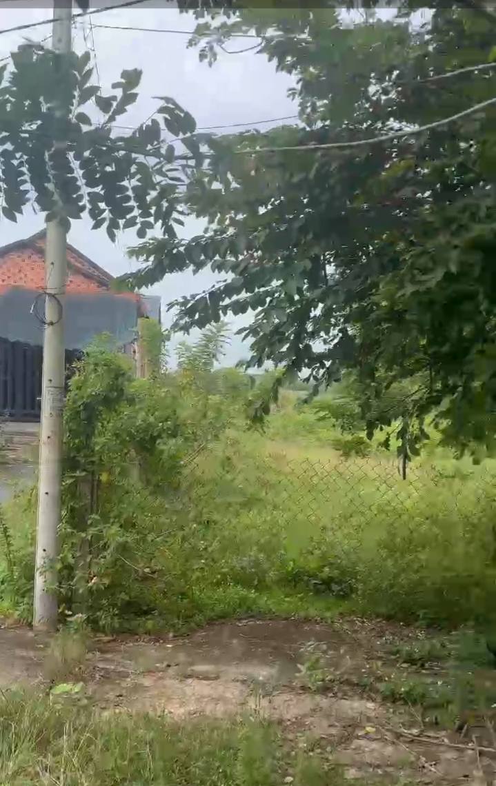 Đất mặt tiền Phước Thạnh 805.5m² giá 2 tỷ - Tiềm năng đầu tư lớn!