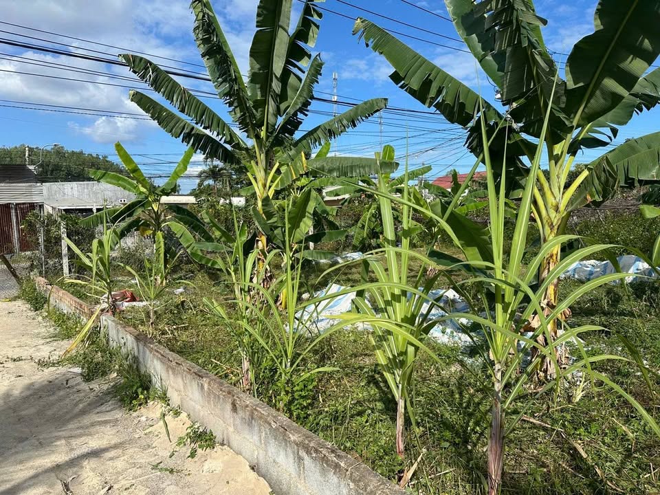 Đất thổ cư Thôn Phước Điền, Nha Trang 1358m² giá 6.2 tỷ - Đầu tư sinh lời ngay!