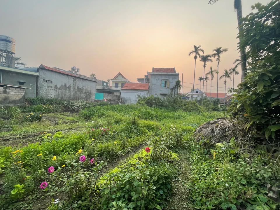 Đất nền 500m² phường Quảng Yên, giá 5 tỷ - Vị trí vàng gần công viên