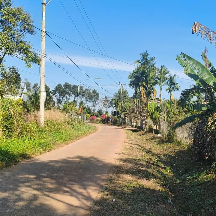 Đất nền 600m² tại Xã Xuân Hòa, Huyện Đức Hòa - Giá chỉ 1.05 tỷ, cơ hội đầu tư tuyệt vời!