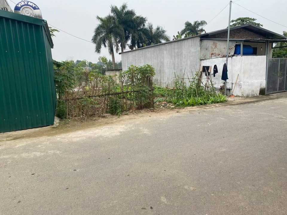 Đất thổ cư Tiên Kiên, 195m² giá 1 tỷ - Khu dân cư đông đúc!