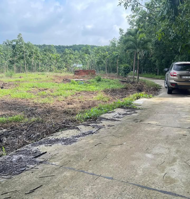 Đất thổ cư KP 10 Minh Hưng 167m² giá 475 triệu - Hướng Đông, ô tô vào tận nơi!