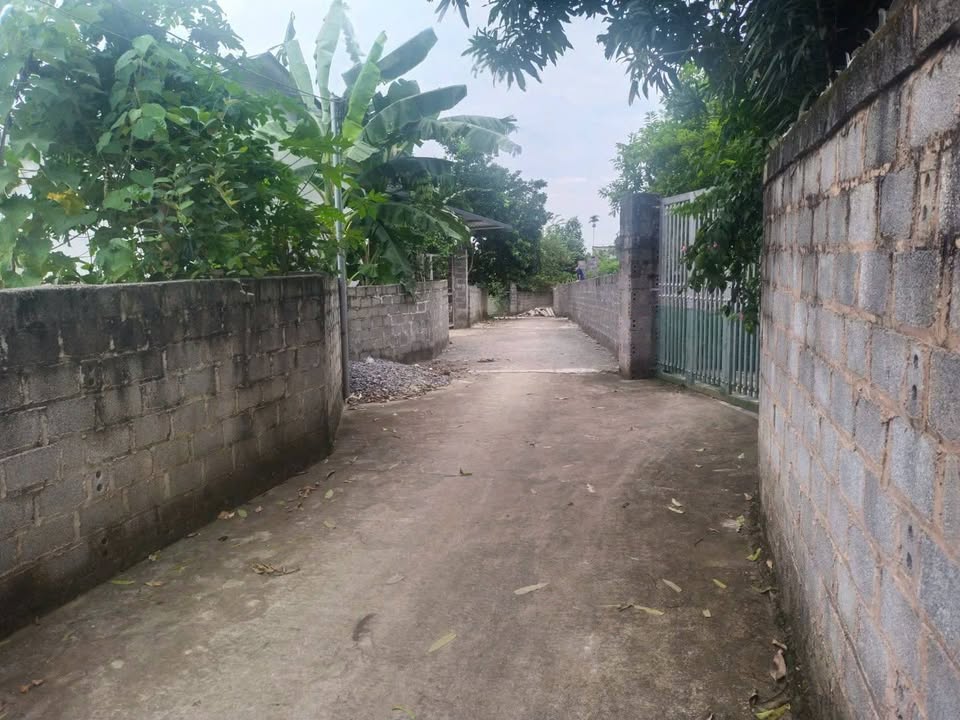 Đất nền tại Xã Nhuận Trạch, Huyện Lương Sơn 155m² giá chỉ 1,1 tỷ - Cơ hội đầu tư tốt!