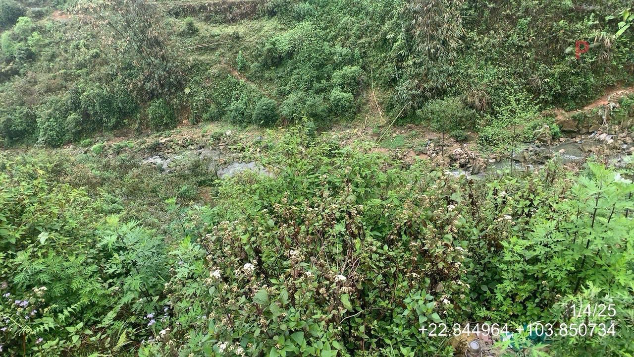 Đất thương mại dịch vụ đường Suối Hồ, Sa Pa 436m² giá 1.5 tỷ - Cơ hội đầu tư tuyệt vời!