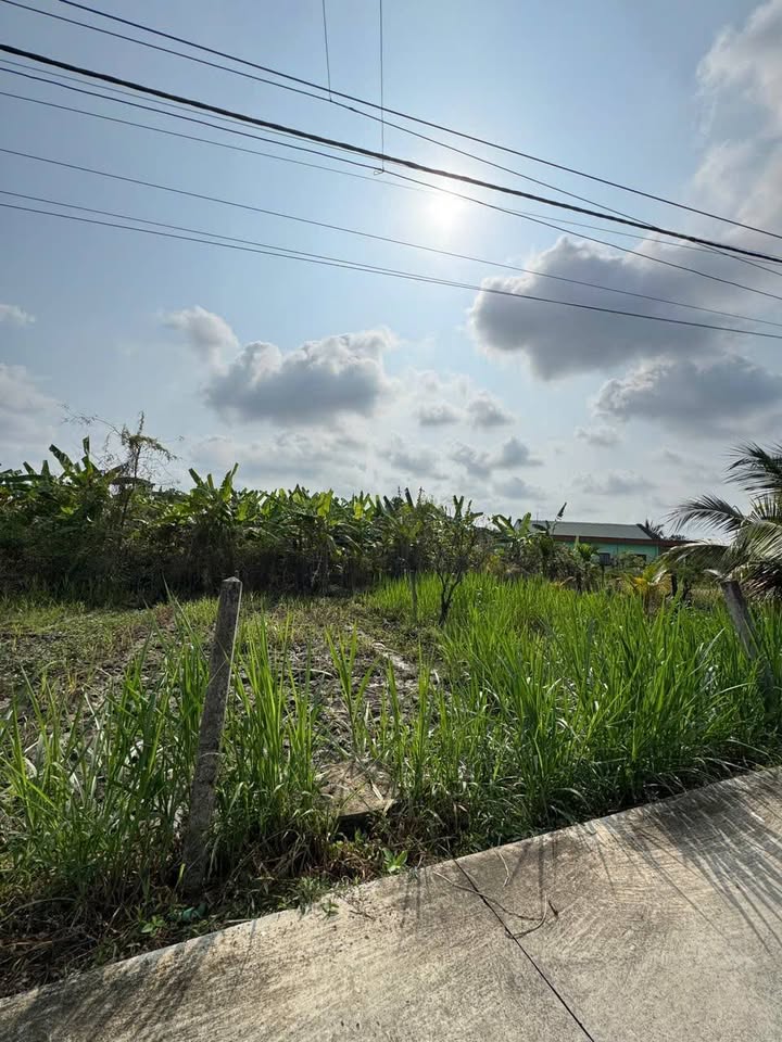 Đất thổ cư Mỹ Phong, Đồng Tháp 85m² - Giá chỉ 450 triệu, sổ hồng chính chủ!