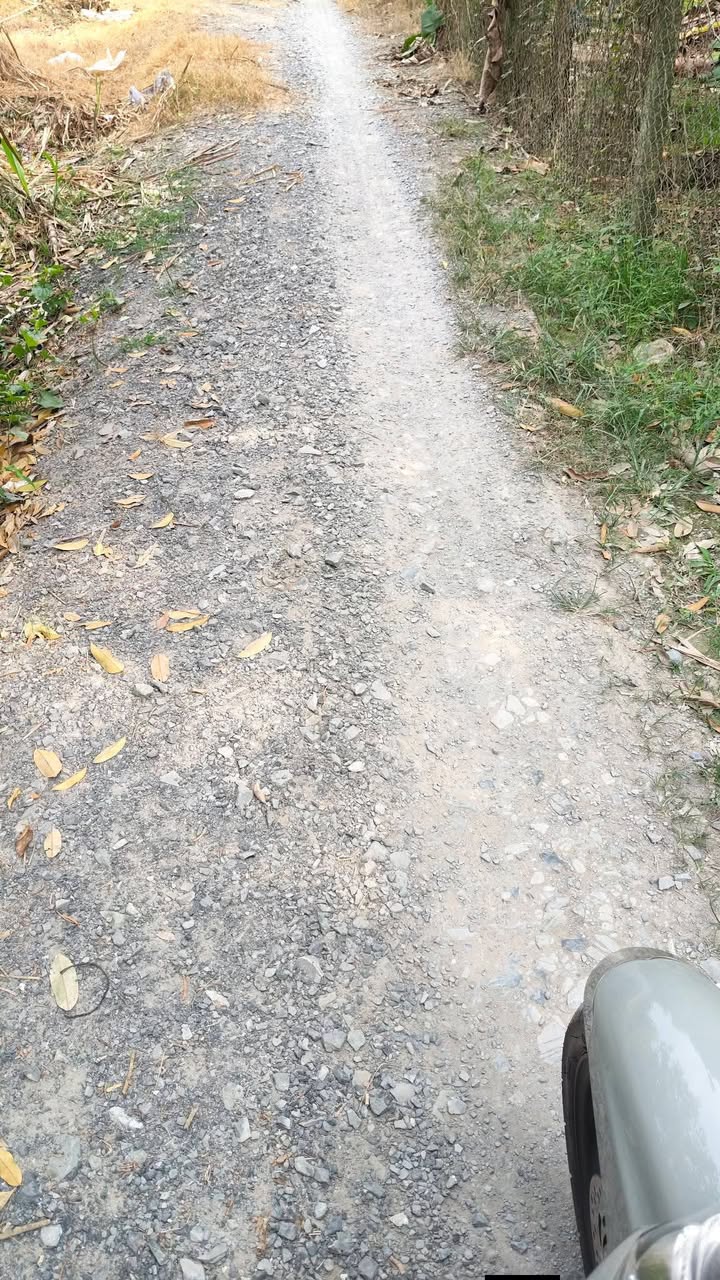 Đất vườn sầu riêng Ri6 2800m² giá 2.1 tỷ - Đầu tư sinh lời ngay!