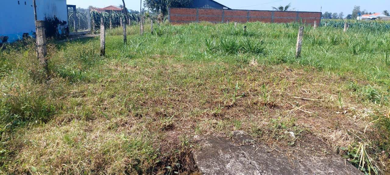 Đất nền Ấp Quang Thọ, Xã Tân Thuận Bình 100m² giá 250 triệu - Đầu tư sinh lợi ngay!