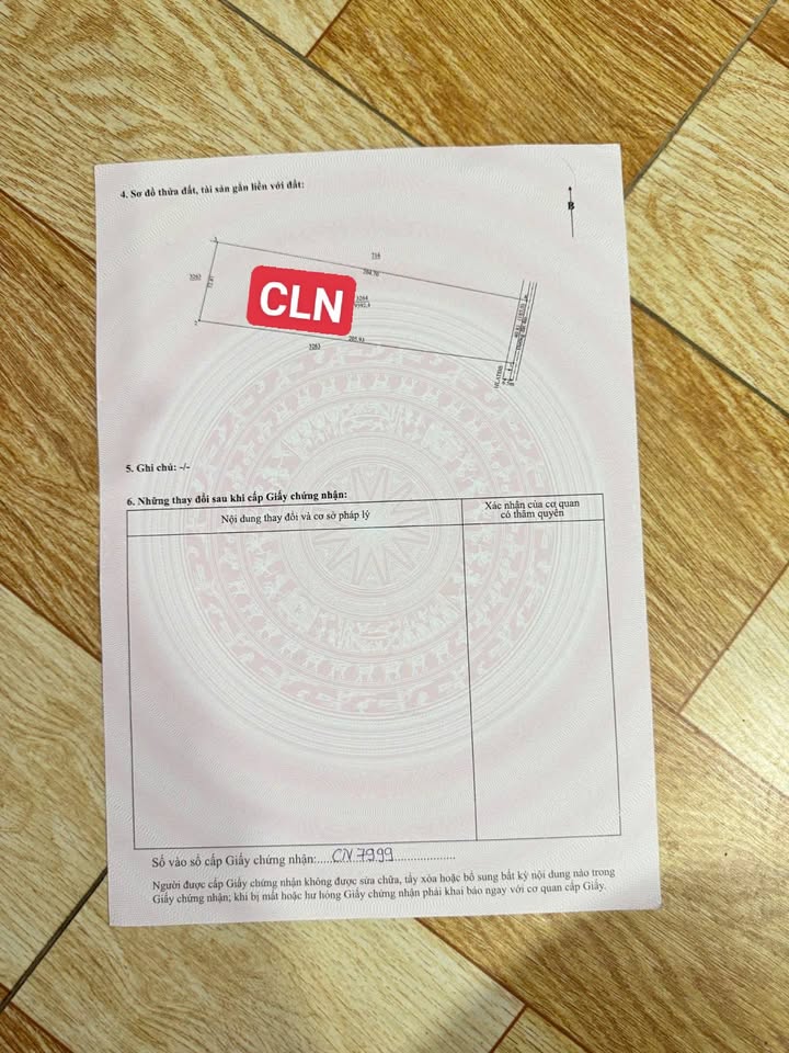 Đất Farm DT741, Bến Cát 9600m² giá 15 tỷ - Cơ hội đầu tư tuyệt vời!