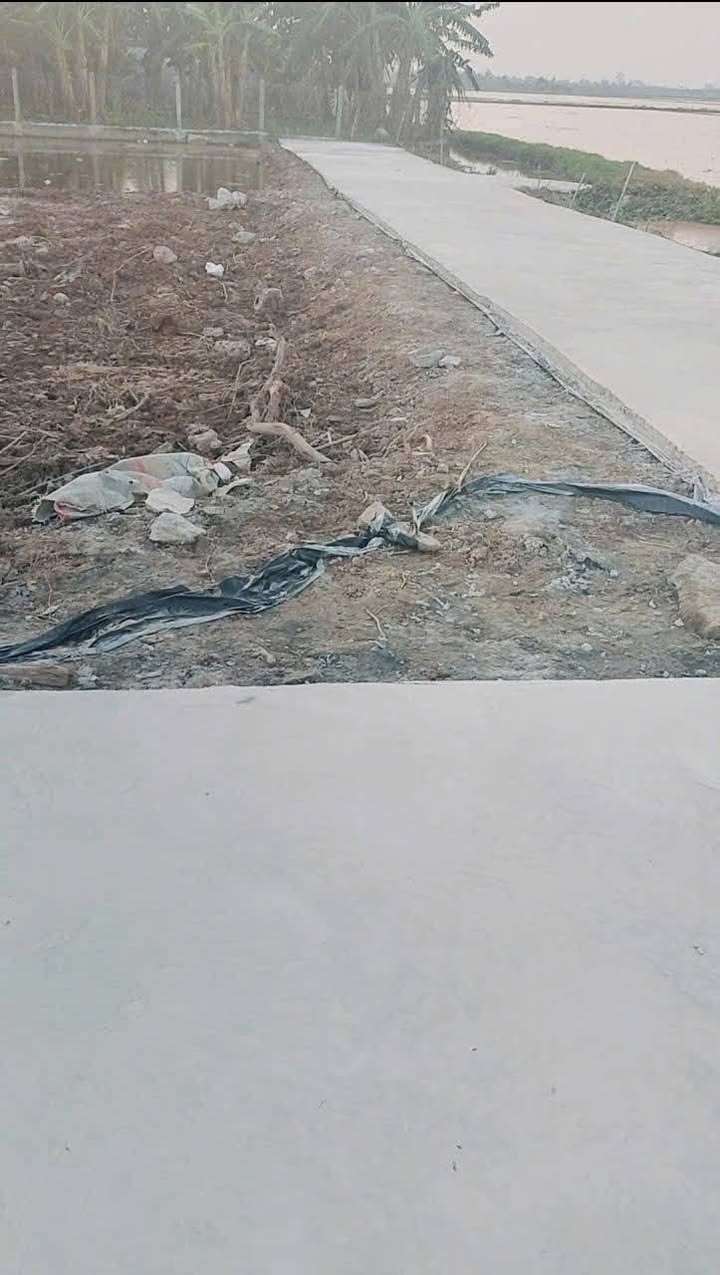 Đất thổ cư tại thôn Thuần Hậu, Nghĩa Phú, 180m² chỉ 400 triệu - Cơ hội đầu tư tuyệt vời!