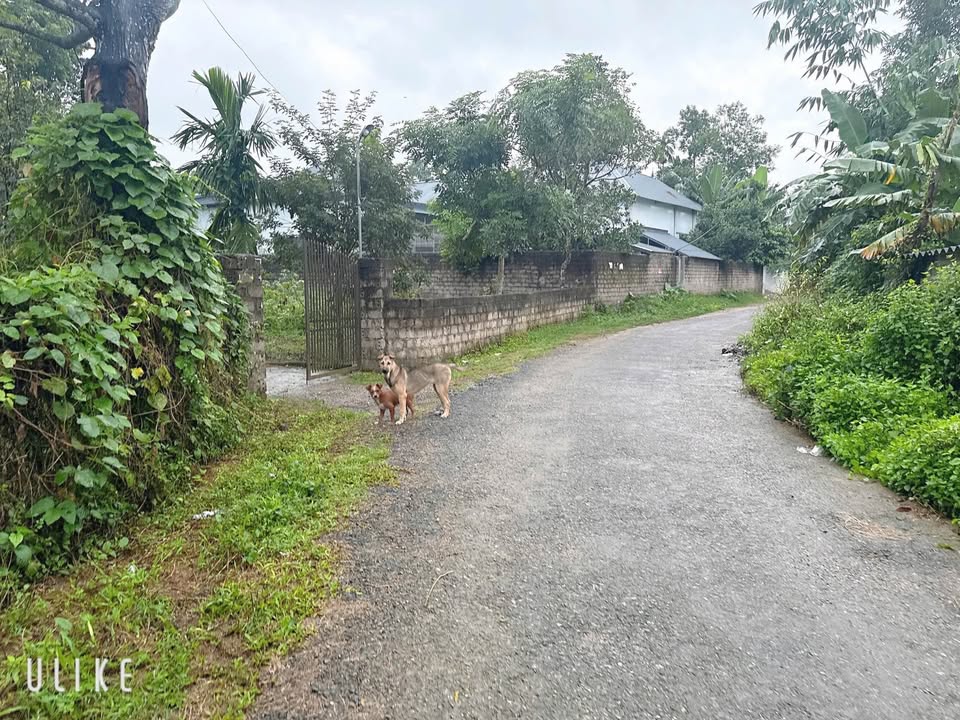 Đất thổ cư tại Cao Dương, Lạc Thủy, Hòa Bình 644m² - Tiềm năng kinh doanh lớn!