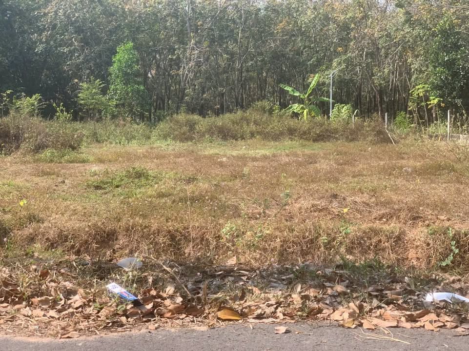 Đất thổ cư 750m² tại Lộc Giang, Đức Hòa - Cơ hội đầu tư tuyệt vời!