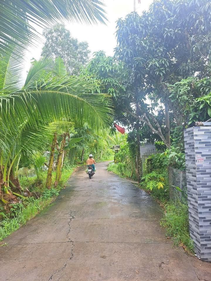 Đất nền chính chủ Thị trấn Cái Tắc 335m² giá chỉ 750 triệu - Cơ hội đầu tư tuyệt vời!