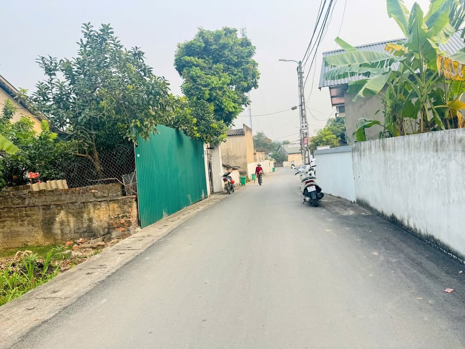 Đất nền tại Phú Ninh, Tam Dương 100m² giá 1.5 tỷ - Sẵn sàng xây dựng ngay!